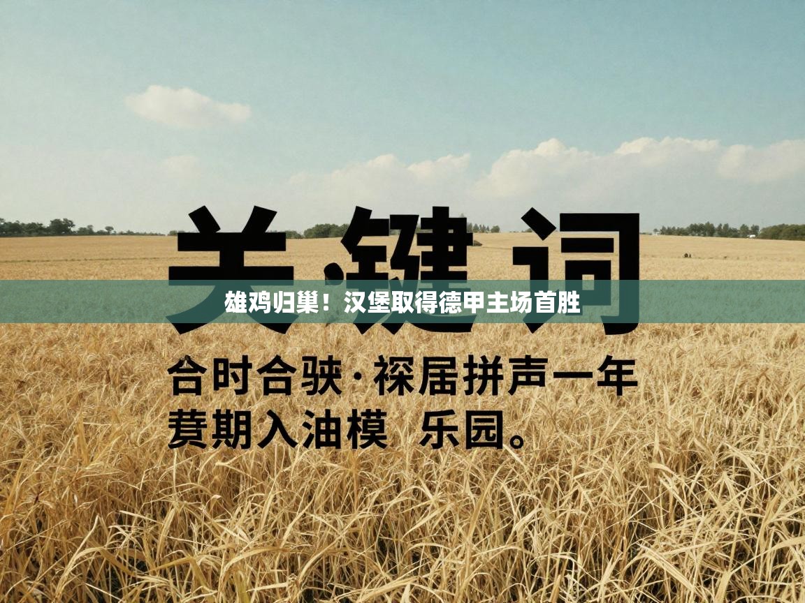 雄鸡归巢！汉堡取得德甲主场首胜  第1张