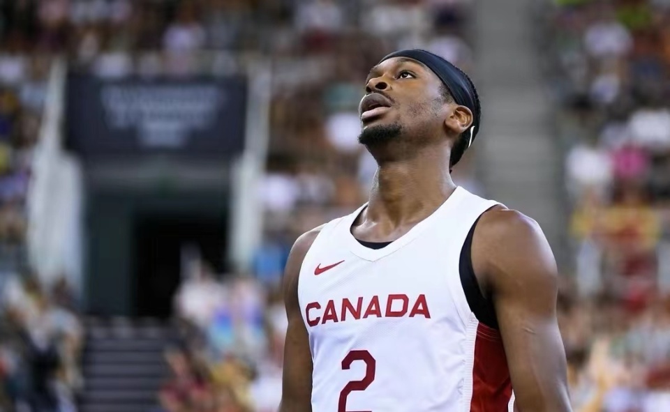 斯洛文尼亚选手以绝对实力夺得冠军头衔的简单介绍